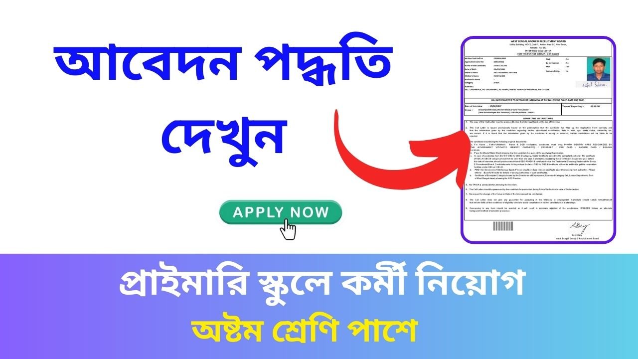 Primary School Job Recruitment 2024